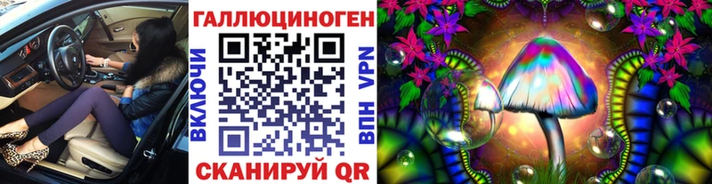 Псилоцибиновые грибы Psilocybe  Данков 